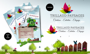 projet identité visuelle trillaud paysages 