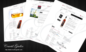 projet webdesign courtilguelin 