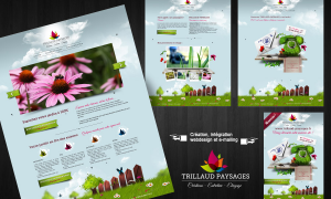 projet webdesign trillaud paysages 